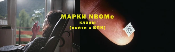 стафф Верхний Тагил