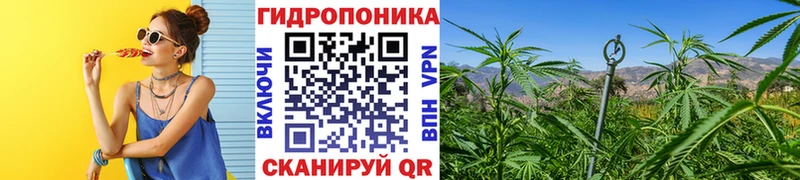как найти закладки  Касимов  Шишки марихуана VHQ 